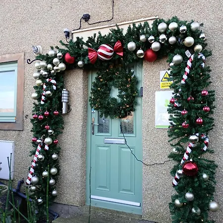 Levens Terrace, Therapy