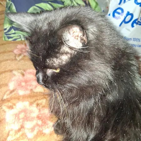 Levens Terrace, Therapy Pansiyon Barrow-in-Furness