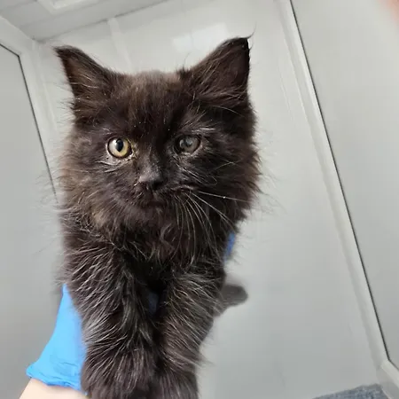 Levens Terrace, Therapy Барроу-ин-Фернесс