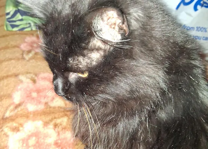 Levens Terrace, Therapy Homestay Barrow-in-Furness